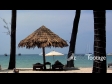 Beach Umbrella, Phuket 2314